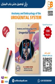 Anatomy and Embryology of the Urogenital System