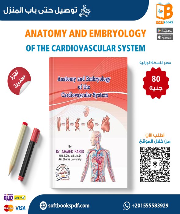 Anatomy and Embryology of the Cardiovascular System