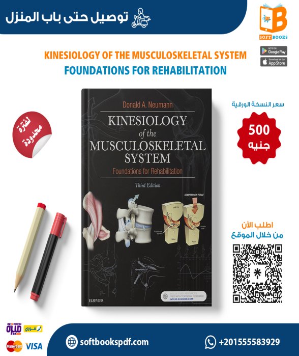 Kinesiology Of The Musculoskeletal System Foundations For Rehabilitation 