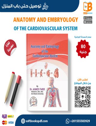  Anatomy and Embryology of the Cardiovascular System 