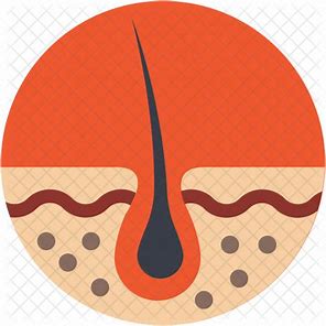 Dermatology
